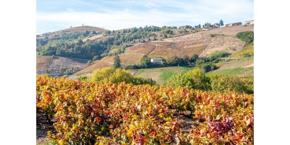 Appartamento Le Cosy Shelby Proche Gare 150M Villefranche-sur-Saône Esterno foto