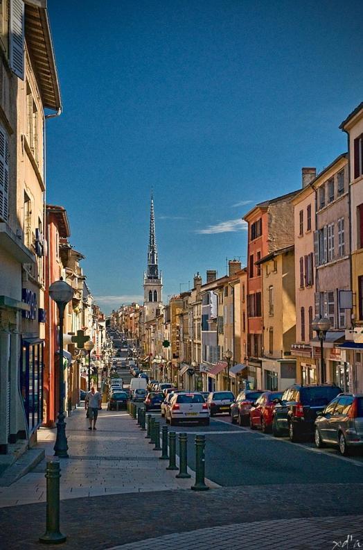 Appartamento Le Cosy Shelby Proche Gare 150M Villefranche-sur-Saône Esterno foto